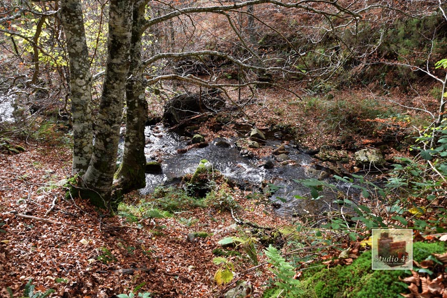 DSC 1489