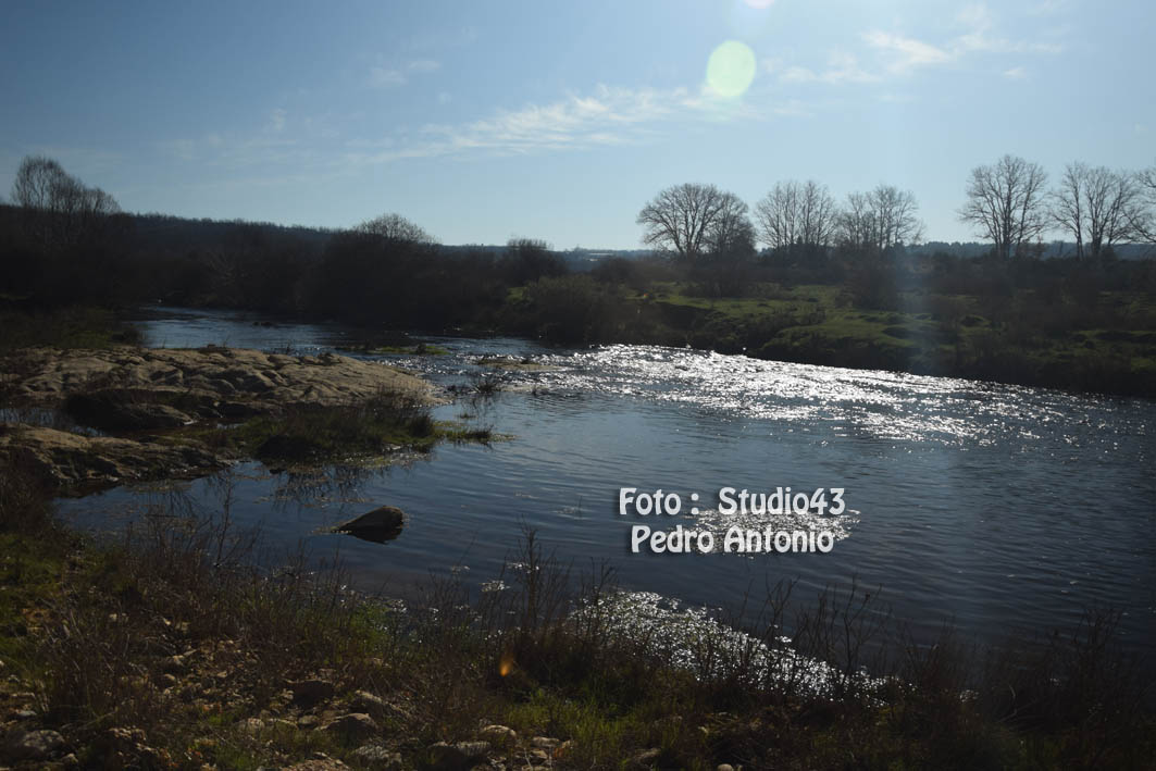 DSC 0040