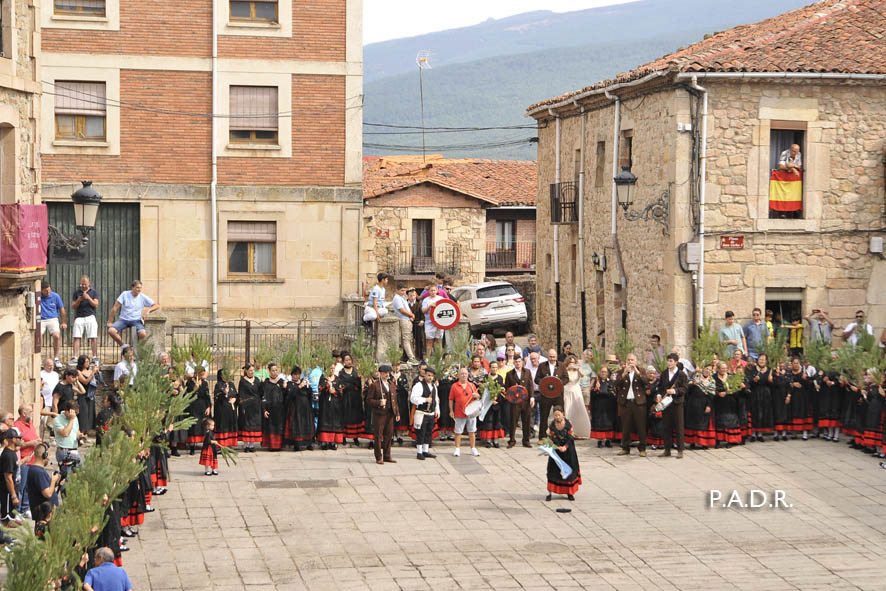 DSC5182