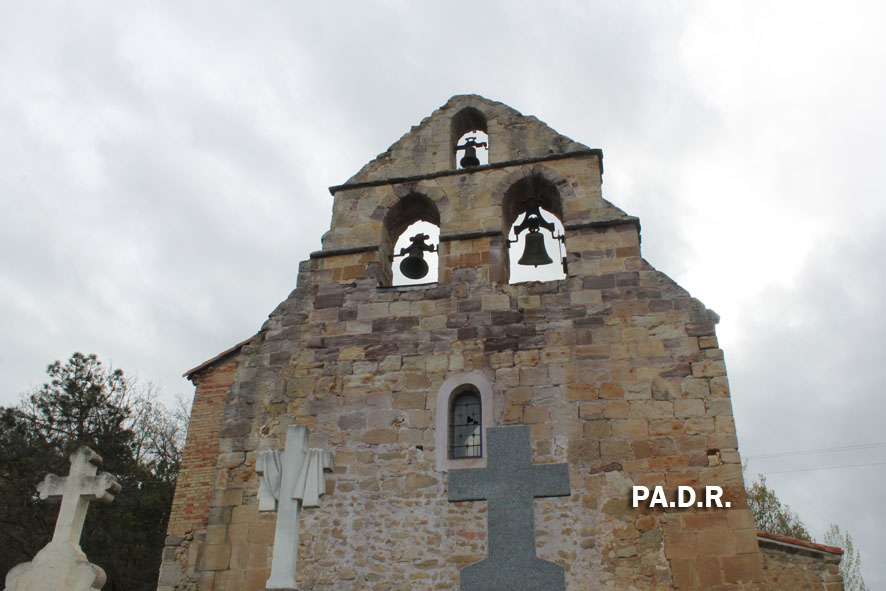 PINO DE BUREBA ,IGLESIA DE S MARTIN