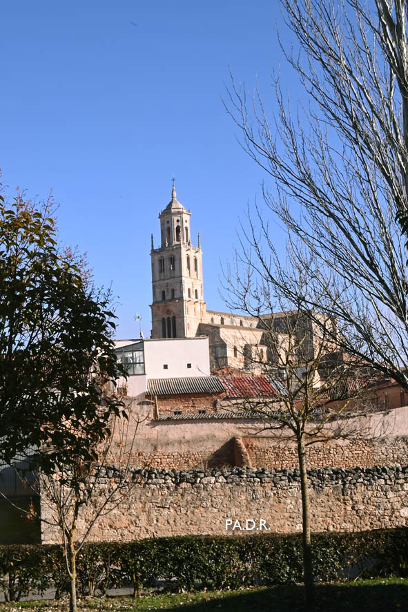 IGLESIA DE LA ASUNCION DE NTRA SEÑORA EN SANTA MARIA DEL CAMPO