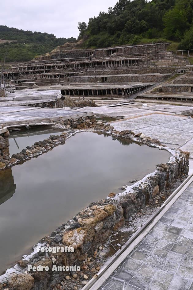 SALINAS DE AÑANA-ALAVA
