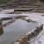 SALINAS DE AÑANA-ALAVA