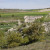 Monasterio de Santa María de los Valles  en Torresandino