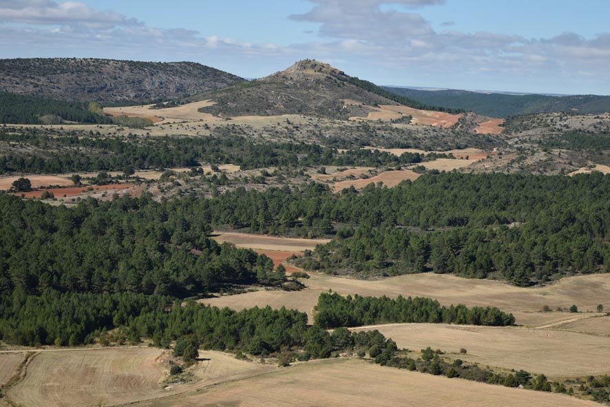 HONTORIA DEL PINAR -PICO DE LAS NAVAS