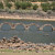 EMBALSE de La CUERDA DEL  POZO (SORIA)