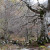 Cascada de La Salceda en Los Montes de Quisicedo