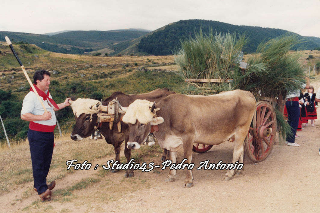 FIESTA DE LOS CAMPANOS ,EN ABIADA ,CANTABRIA