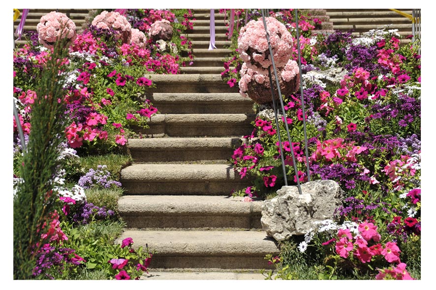 FIESTA DE LAS FLORES    EN BURGOS