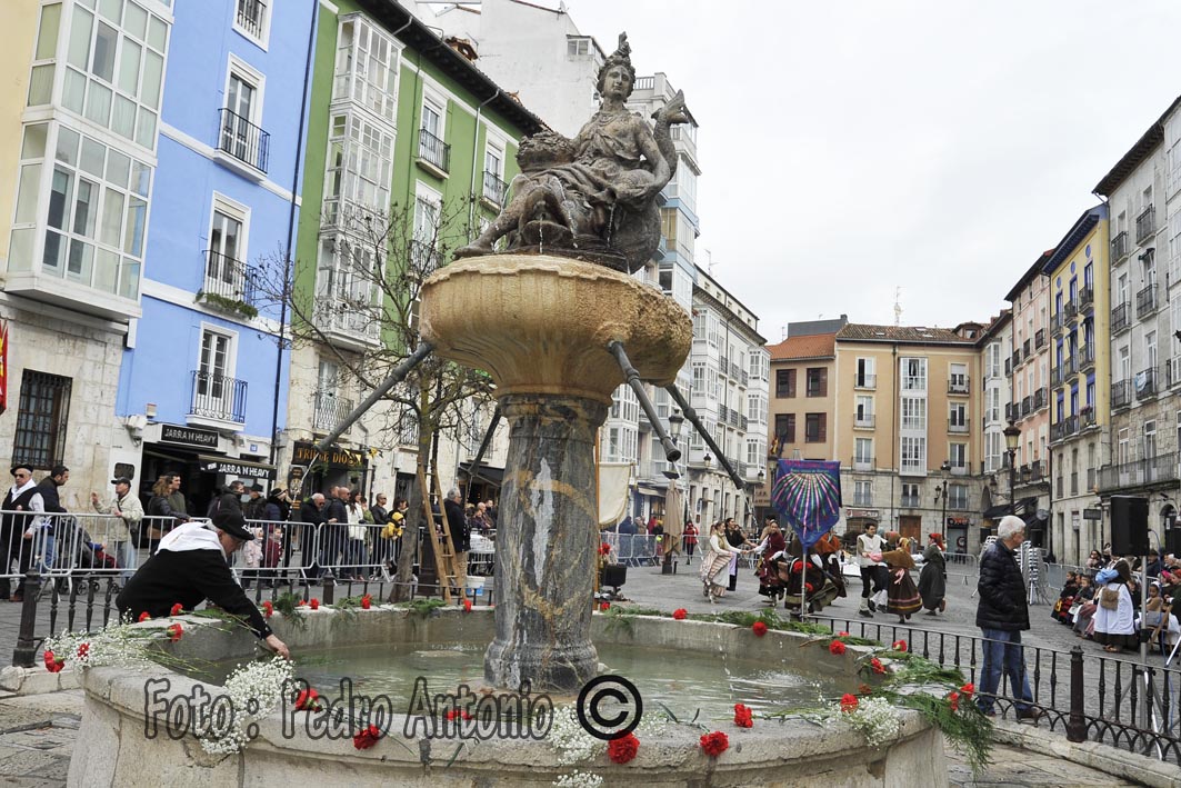 FIESTA DE LA MATANZA EN LA FLORA-BURGOS