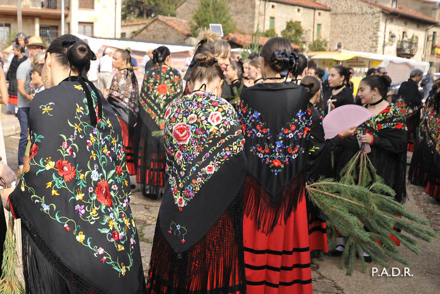 COMBATE DE LA PINOCHADA EN VINUESA,SORIA